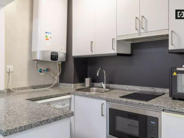 1 bedroom apartment for rent in Embajadores