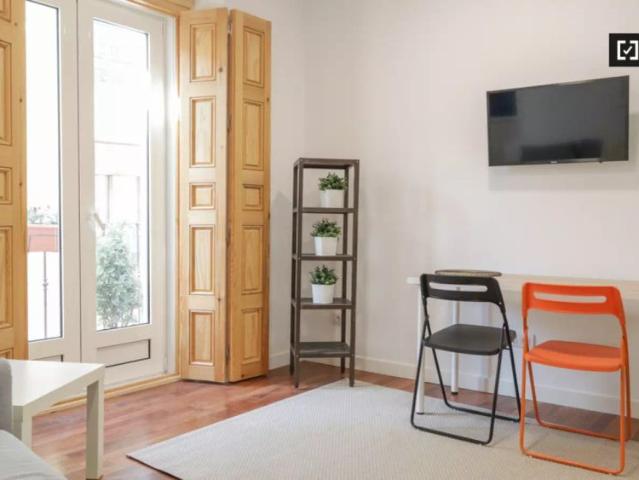 1 bedroom apartment for rent in Embajadores