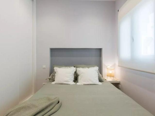 1 bedroom apartment for rent in Fuente del Berro, pets allowed