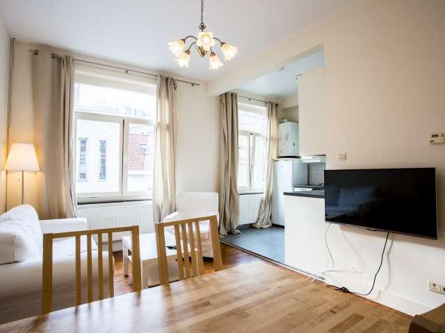 1 bedroom apartment for rent in Flagey Malibran
