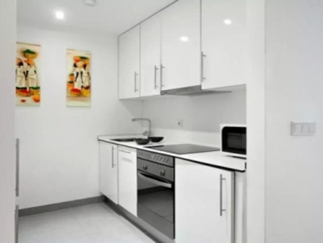 1 bedroom apartment for rent in Guindalera, Madrid, professionals only