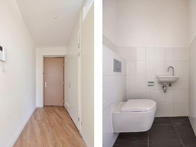 1 bedroom apartment for rent in Jan Wolkerslaan 443 1112 ZH Diemen