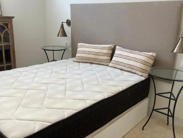 1 bedroom apartment for rent in Los Remedios