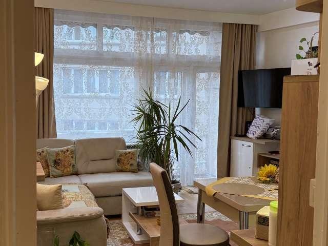 1 bedroom apartment for rent in Saint Josse Centre