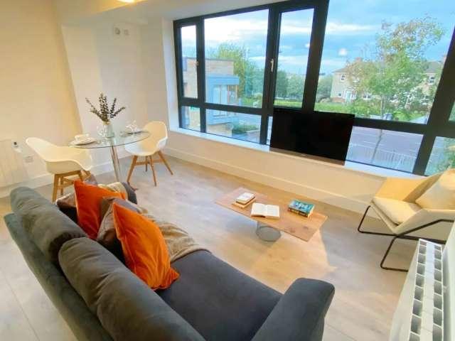 1 bedroom apartment for rent in Dublin