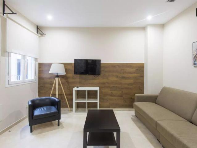 1 bedroom apartment for rent in Sol