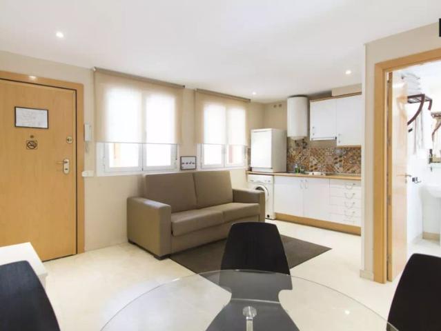 1 bedroom apartment for rent in Sol
