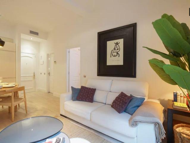 1 bedroom apartment for rent in Sol