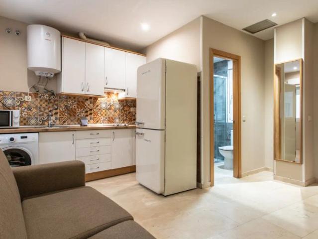 1 bedroom apartment for rent in Sol