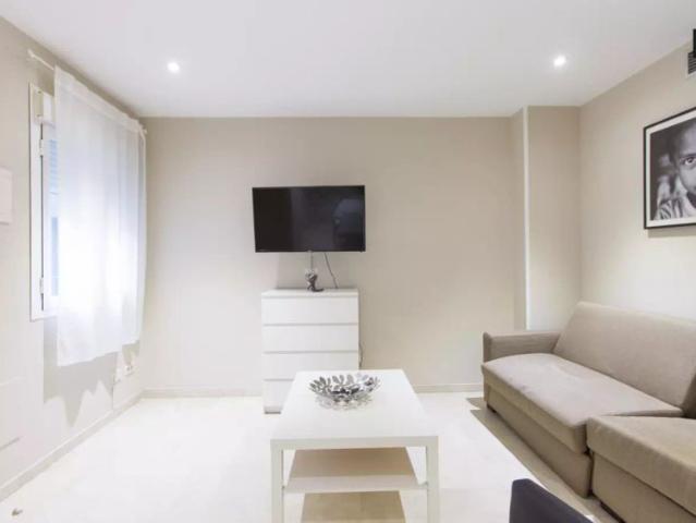 1 bedroom apartment for rent in Sol for professionals and students