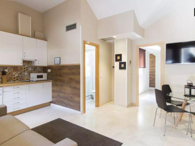 1 bedroom apartment for rent in Sol, Madrid