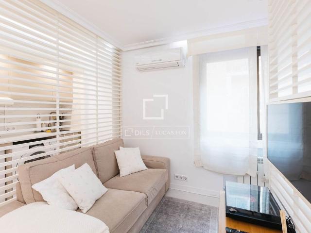1 Bedroom apartment for rent in Trafalgar, Madrid