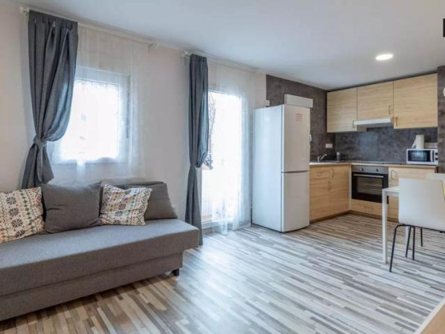 1 bedroom apartment for rent in Tres Forques