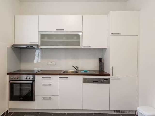 1 bedroom apartment for rent in Vienna