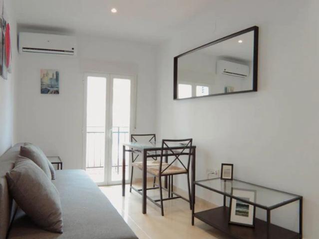 1 bedroom apartment for rent in Zofío
