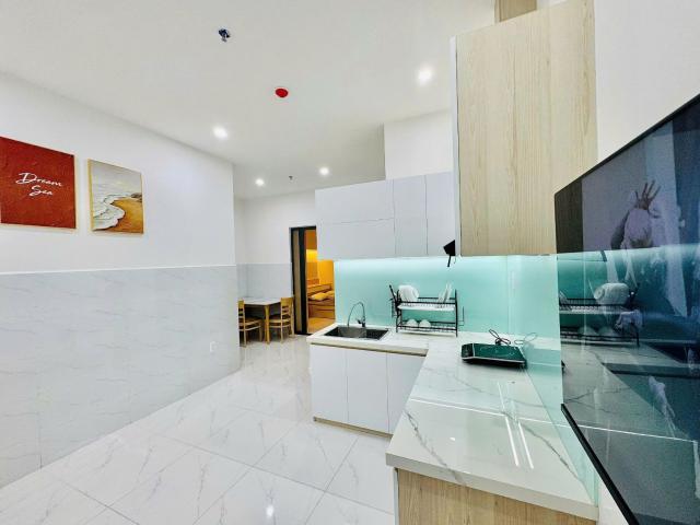 1 Bedroom Apartment for Rent – khue My Dong 1 Area