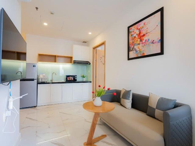 1 Bedroom Apartment for Rent – Ly Nhat Quang Street, Son Tra District, Da Nang