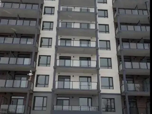 1 Bedroom Apartment Guelph ON 99793991