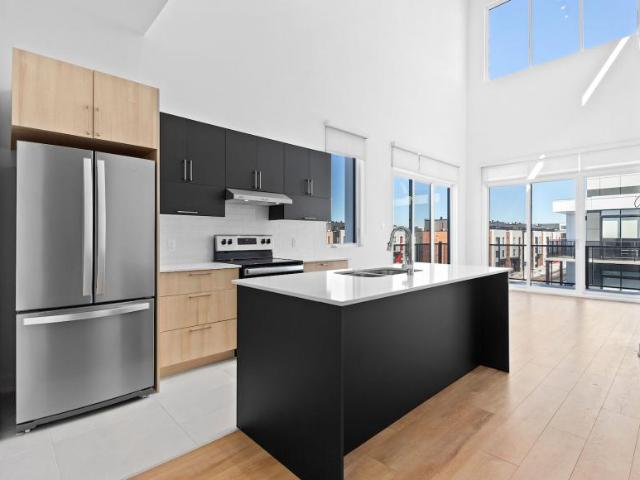 1 Bedroom Apartment Gatineau QC LS98311676