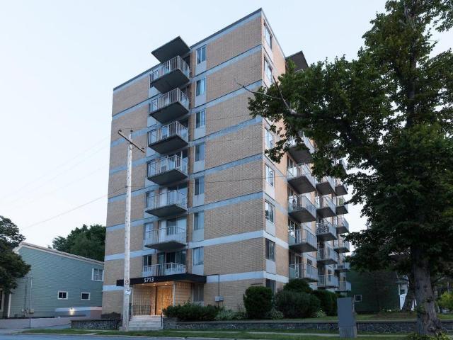 1 Bedroom Apartment Halifax NS LS98314955
