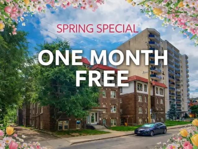 1 Bedroom Apartment Hamilton ON LS101473407