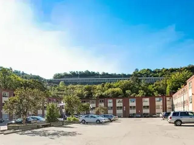 1 Bedroom Apartment Hamilton ON LS96590015