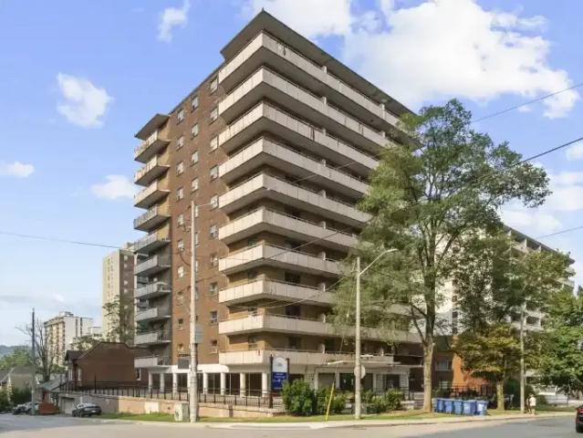 1 Bedroom Apartment Hamilton ON 100975642