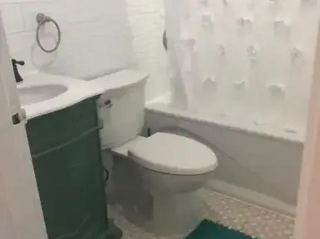 1 Bedroom Apartment Hamilton ON 102751692