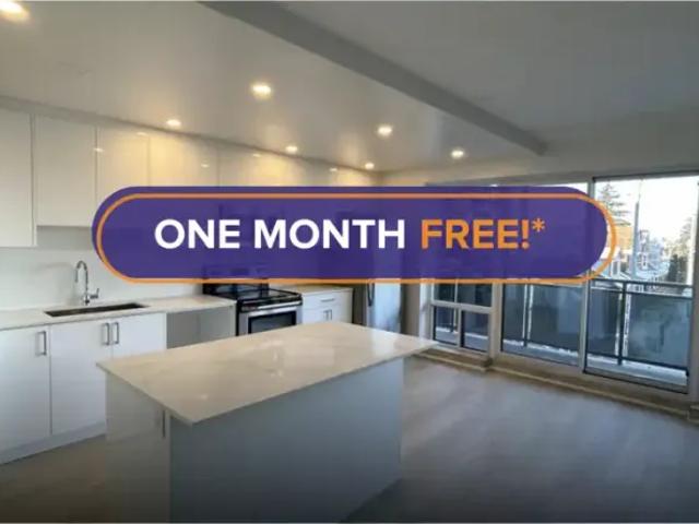 1 Bedroom Apartment Hamilton ON 102752176