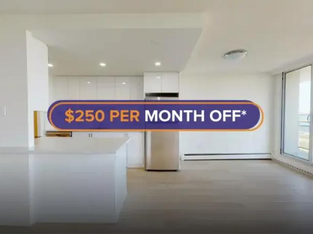 1 Bedroom Apartment Hamilton ON 104710952