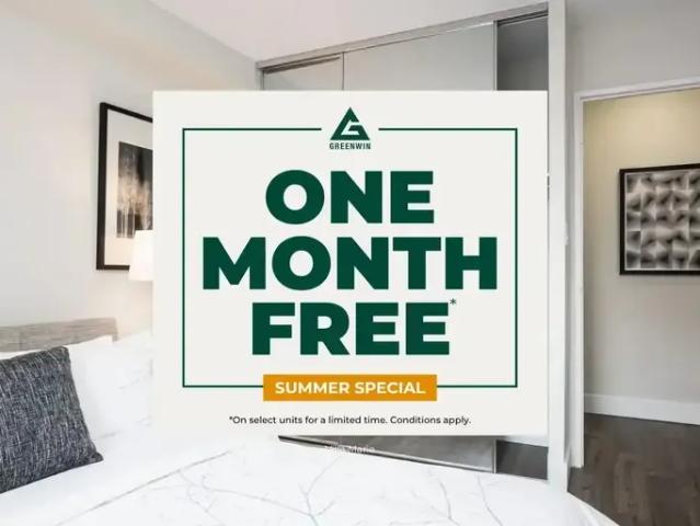 1 Bedroom Apartment Hamilton ON 94087814