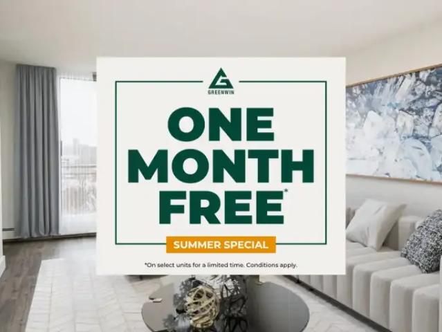 1 Bedroom Apartment Hamilton ON 99069890