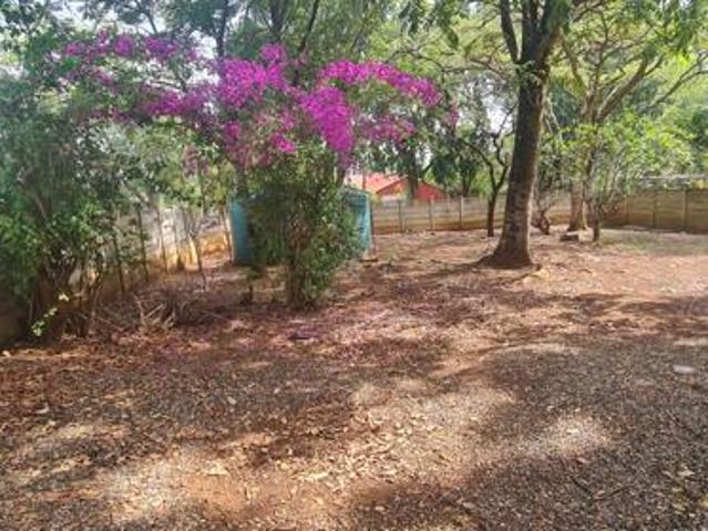 1 Bedroom Apartment in Makhado Louis Trichardt