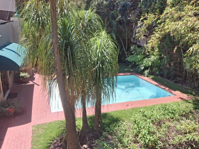 1 Bedroom Apartment in Morningside
