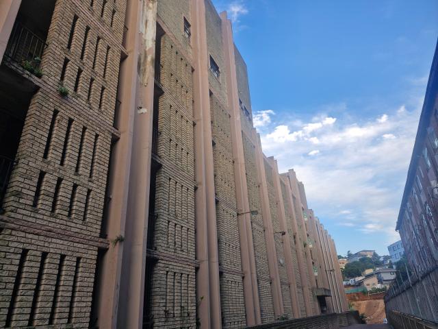 1 Bedroom Apartment in Sydenham