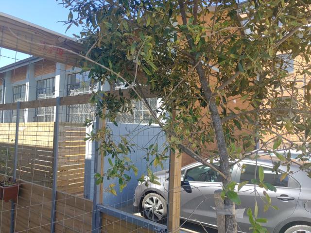 1 Bedroom Apartment in Braamfontein