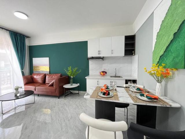 1 bedroom apartment in dagoretti