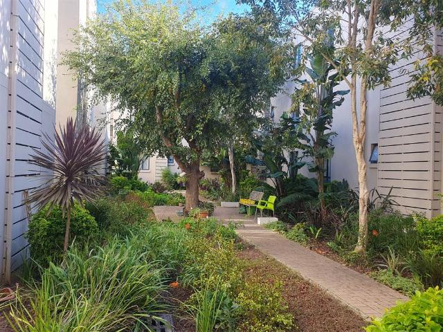 1 Bedroom Apartment in Pinelands