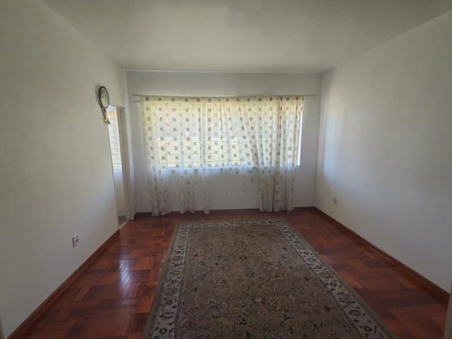1 Bedroom Apartment in South End