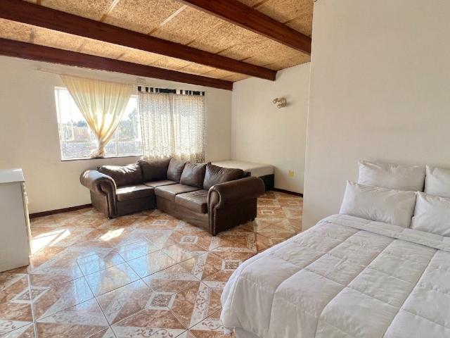 1 Bedroom Apartment in Windsor East