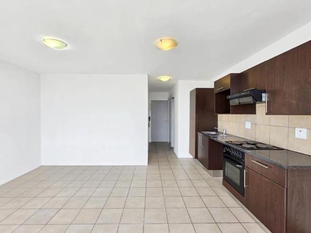 1 Bedroom Apartment in Zonnebloem