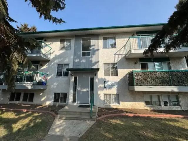 1 Bedroom Apartment Innisfail AB 102551491
