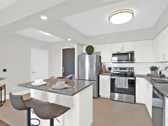 1 Bedroom Apartment Kingston ON 104680989