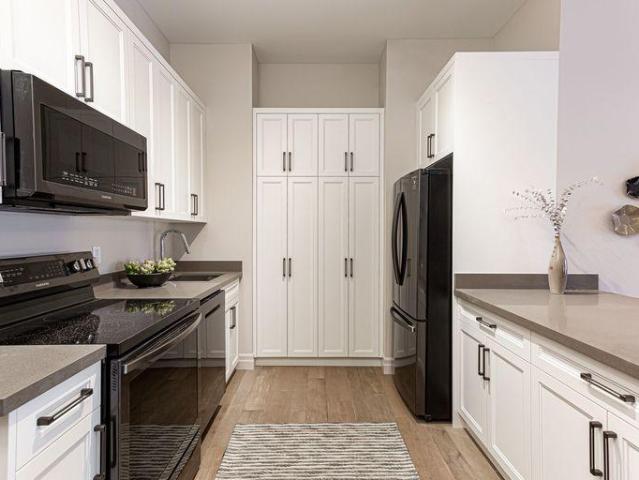 1 Bedroom Apartment Kingston ON 96248774