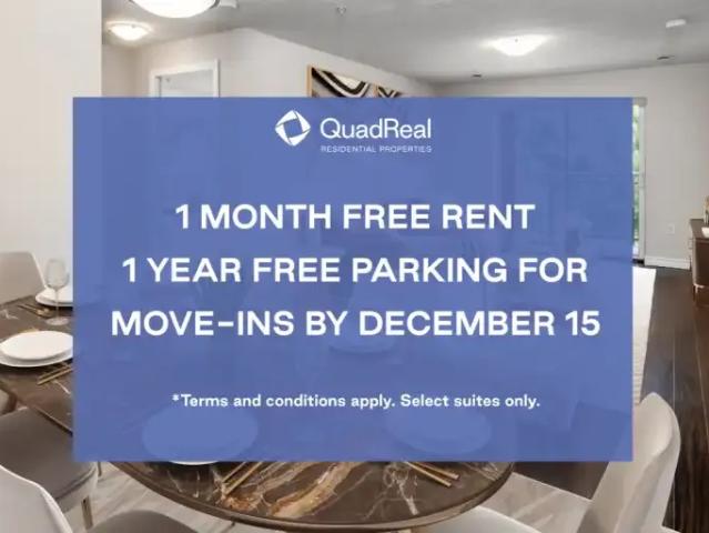 1 Bedroom Apartment Kitchener ON 95028697