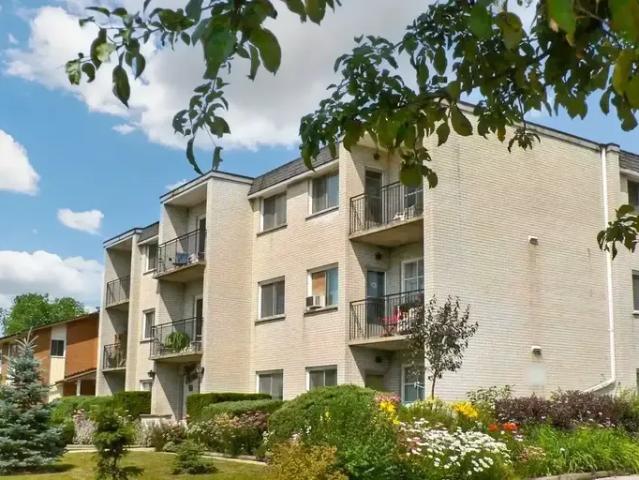 1 Bedroom Apartment Kitchener ON 96585046