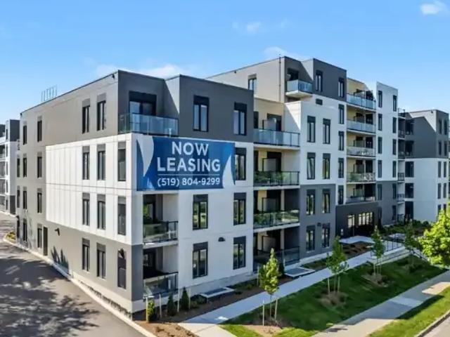1 Bedroom Apartment Kitchener ON 97878014