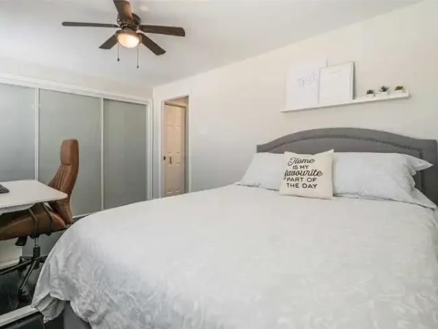 1 Bedroom Apartment Kitchener ON 102752516