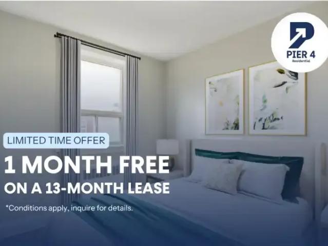 1 Bedroom Apartment Kitchener ON 102811497