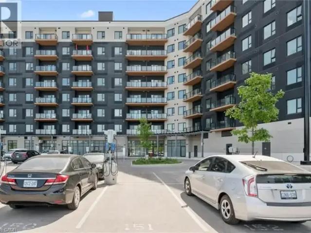 1 Bedroom Apartment Kitchener ON 103011968